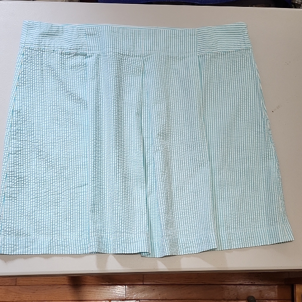 NWOT Lands End Sz16P Light Blue Striped Skirt